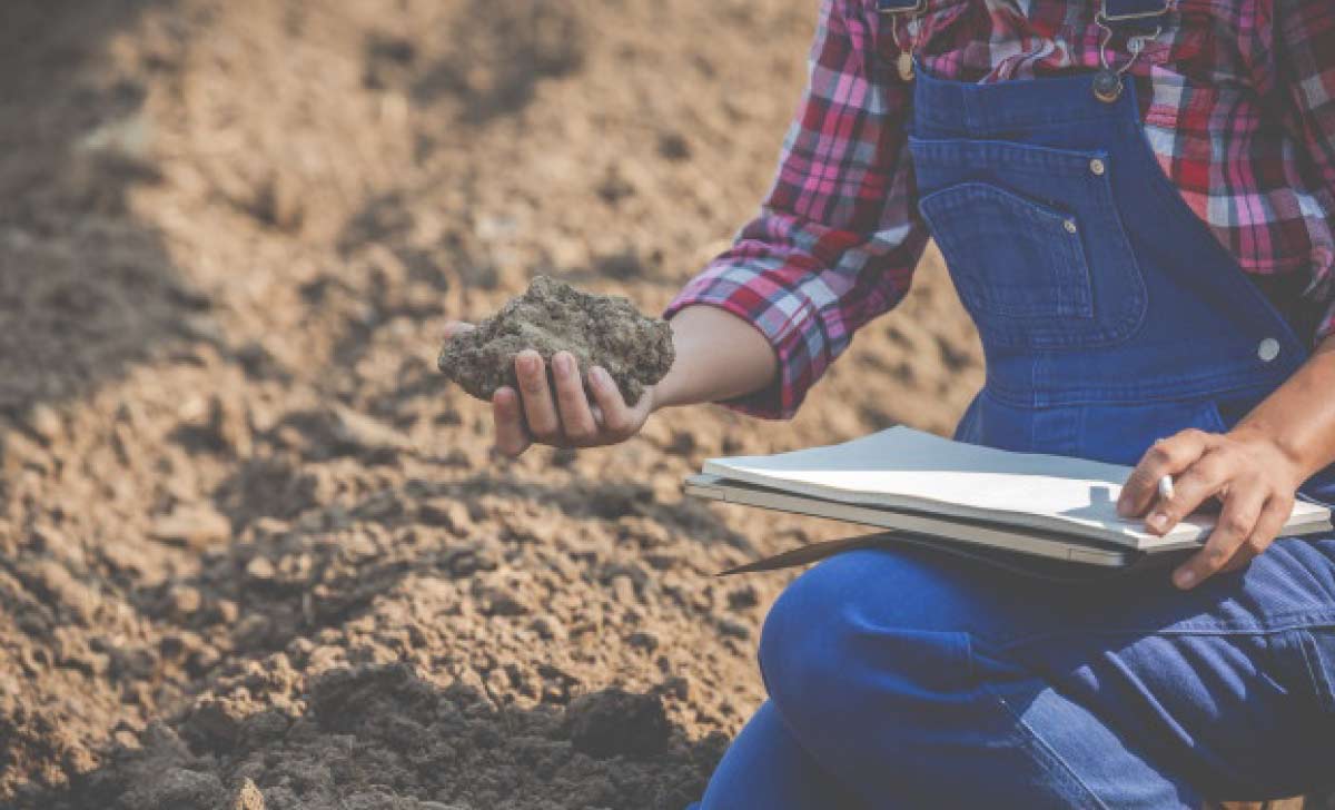 Mulher avaliando um solo de plantio com o Caderno de Campo