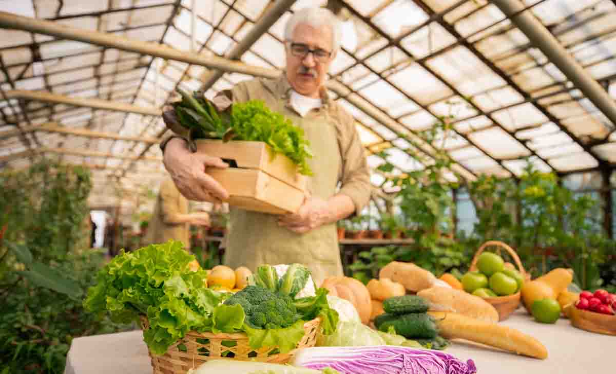 Produtor rural atuando na segurança alimentar