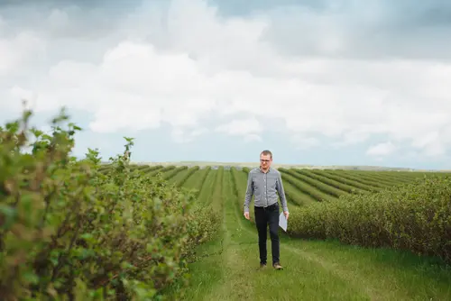 homem analisando tendências do agronegócio