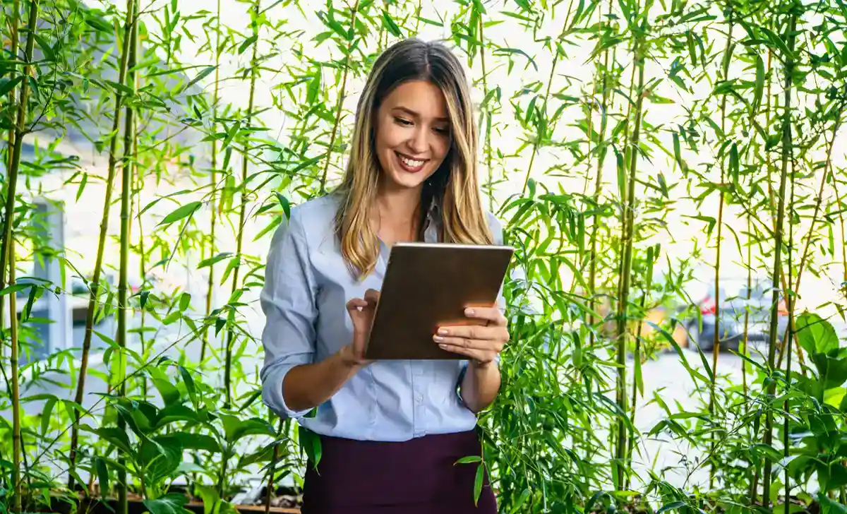 profissional realizando auditoria de gestão ambiental para iso 14000