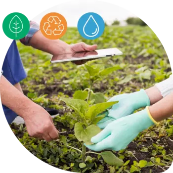 Sustentabilidade industrial